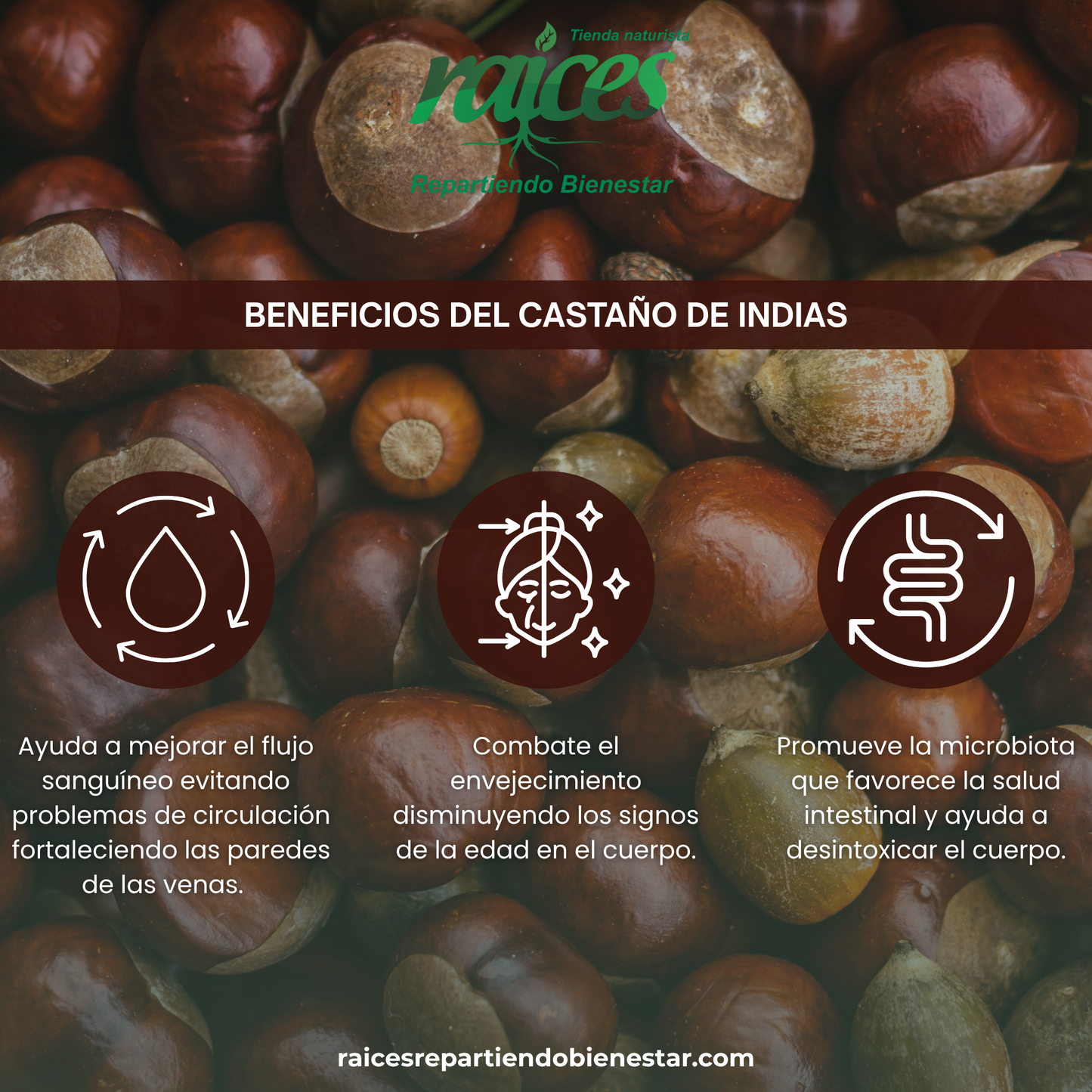 Castaño de Indias