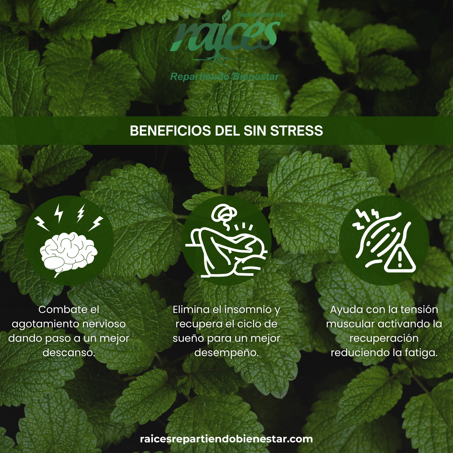 Sin Stress reforzado con Acido Glutámico y Tiamina