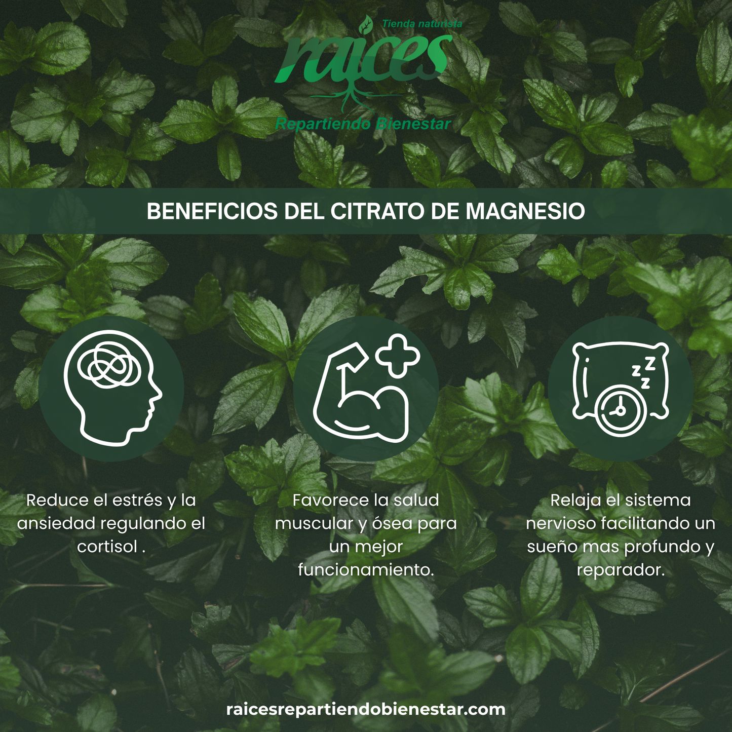 Citrato de Magnesio