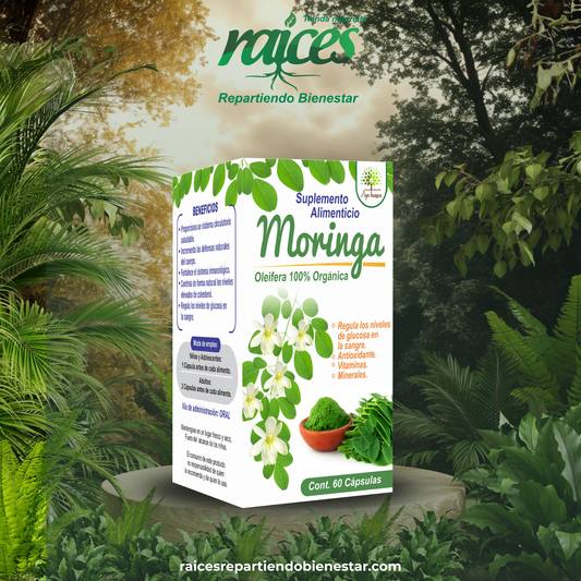 Moringa Oleífera 100%
