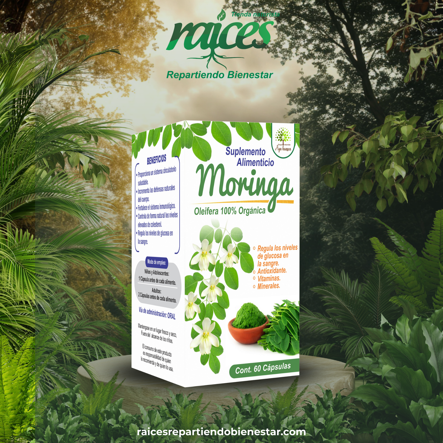 Moringa Oleífera 100%