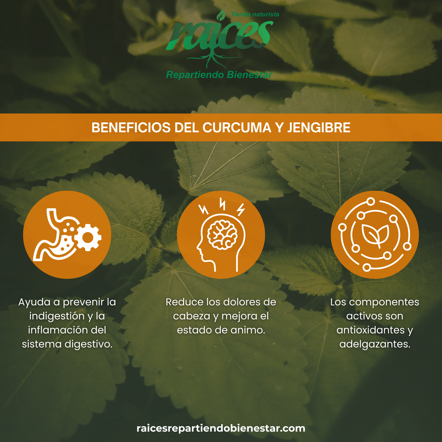 Cúrcuma y Jengibre