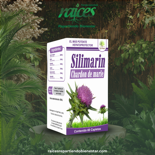 Silimarin Chardon de Marie