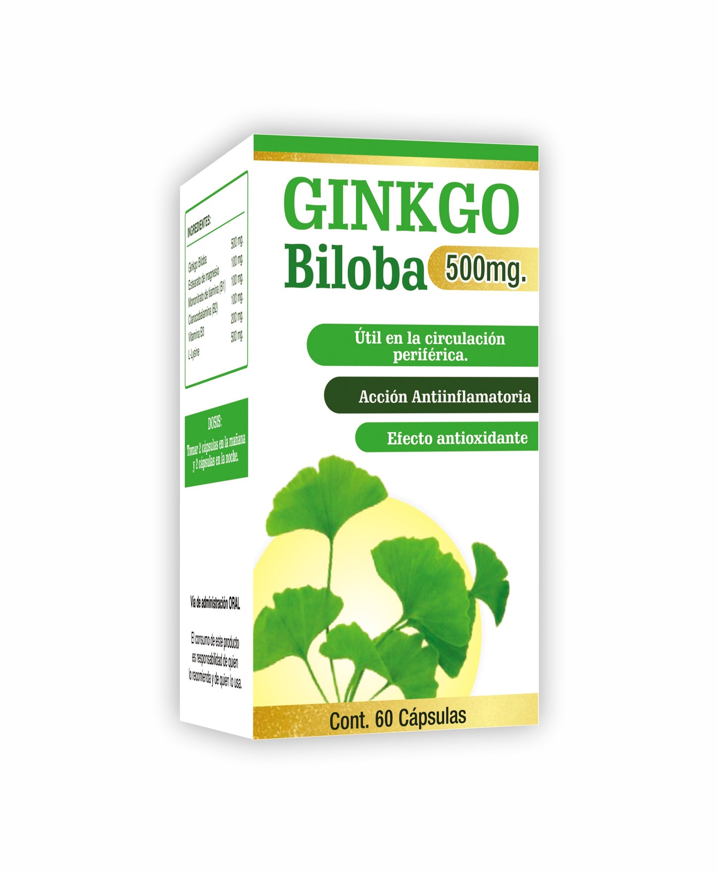 Ayahuasca Ginkgo Biloba